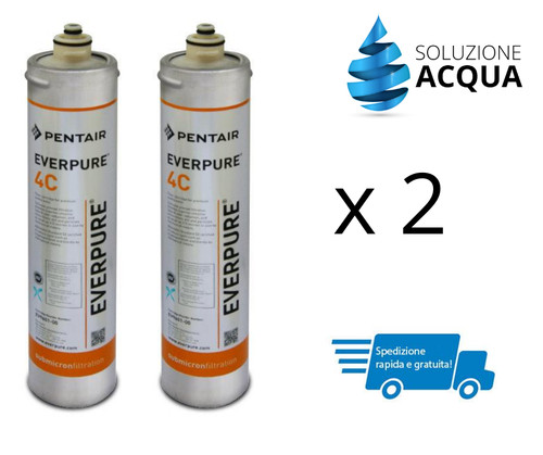 Filtro everpure ev960100 - filtro,